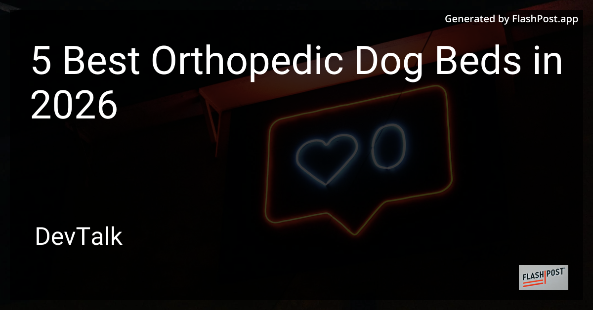 5 Best Orthopedic Dog Beds in 2026