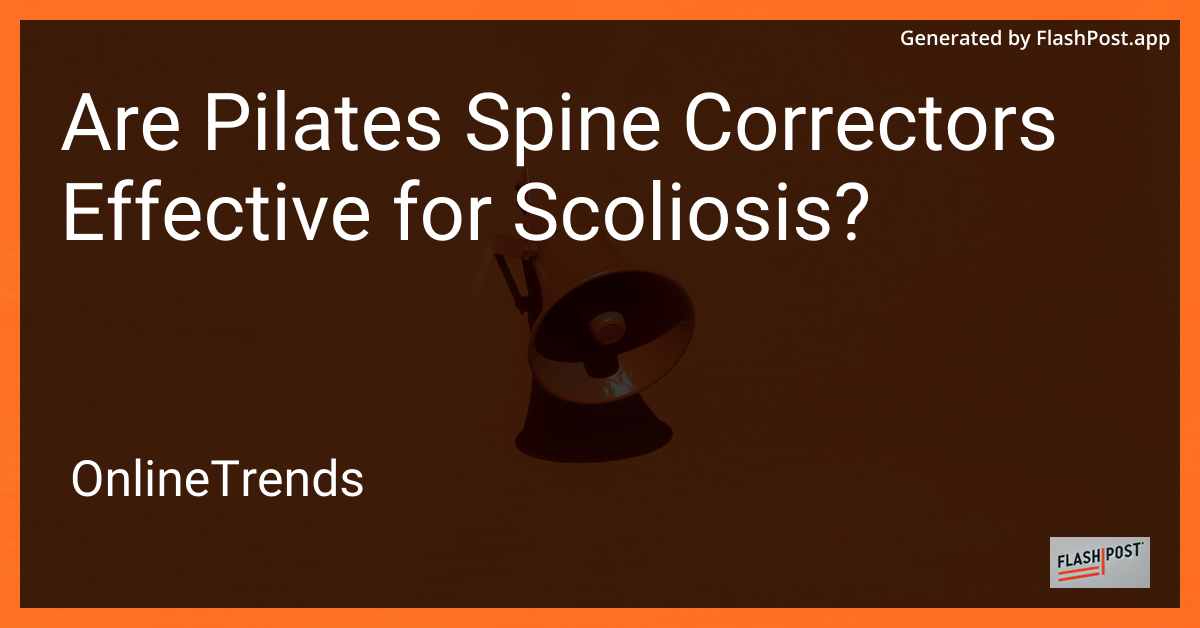 Pilates Spine Corrector