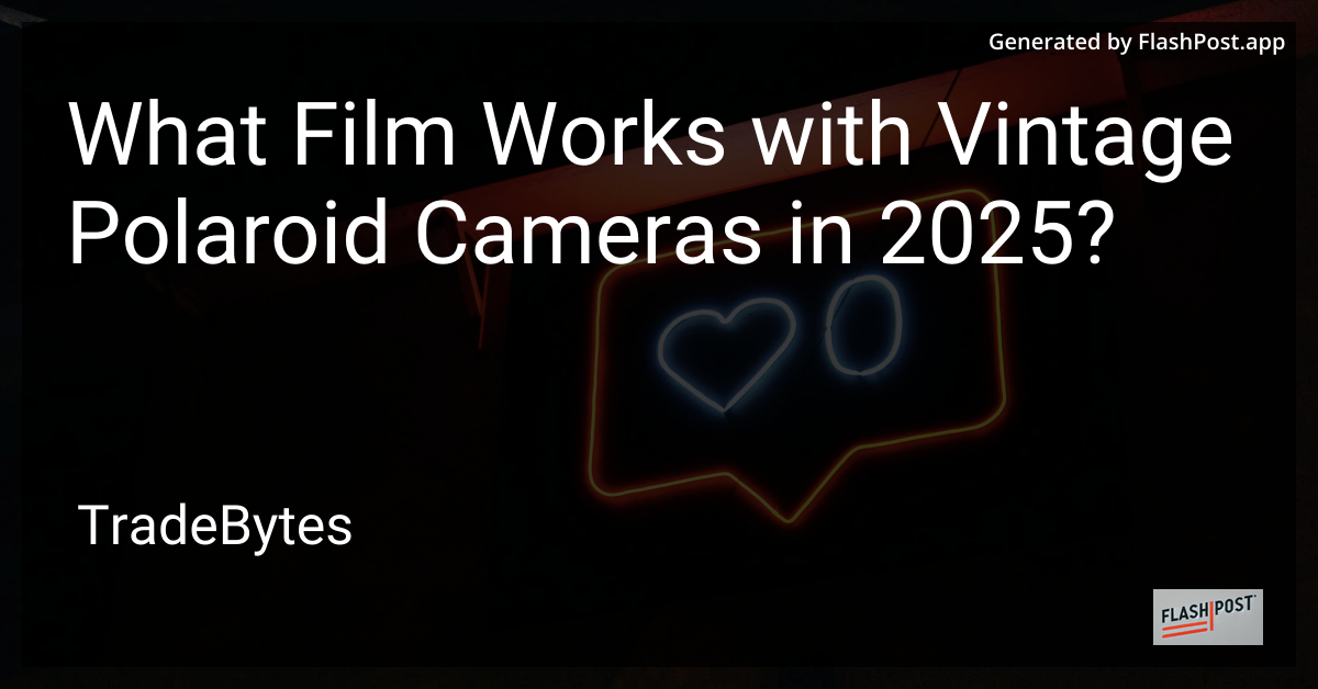 Vintage Polaroid Camera