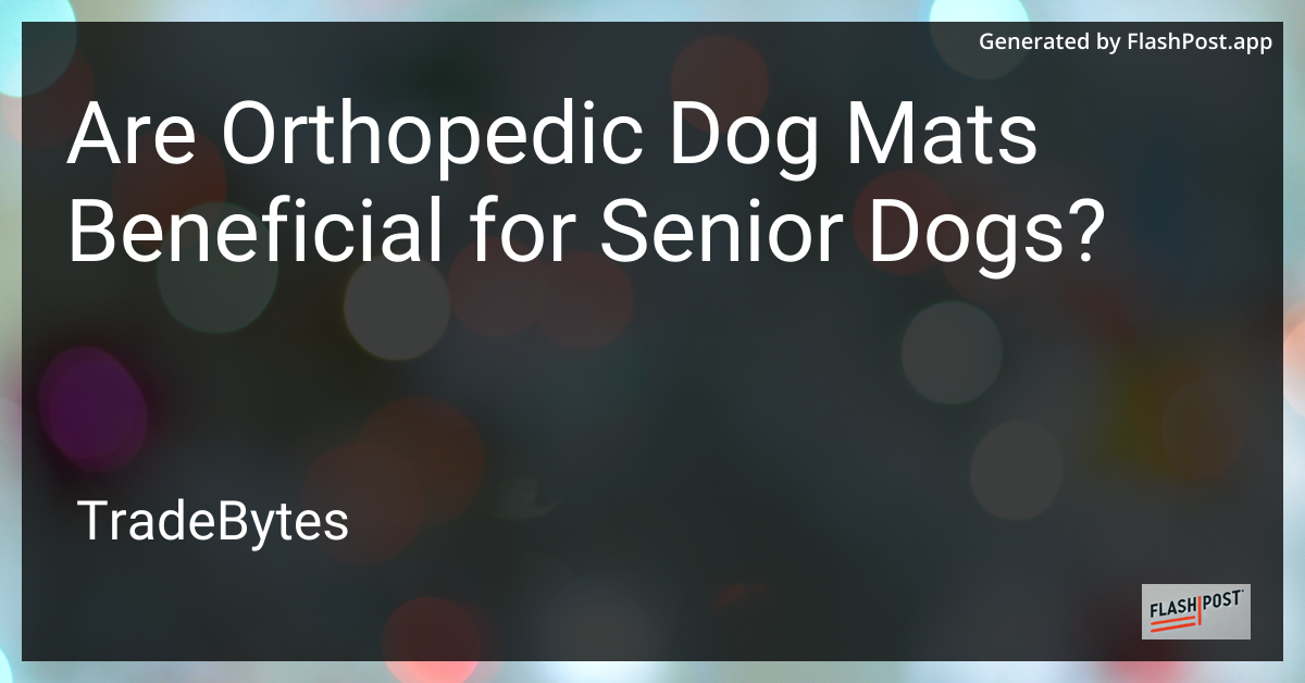 Senior Dog on Orthopedic Mat