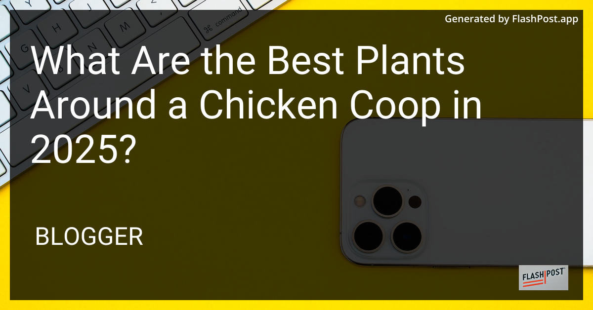 Chicken Coop