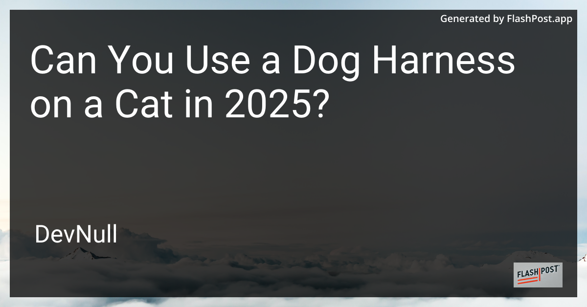 Can You Use a Dog Harness on a Cat in 2025?