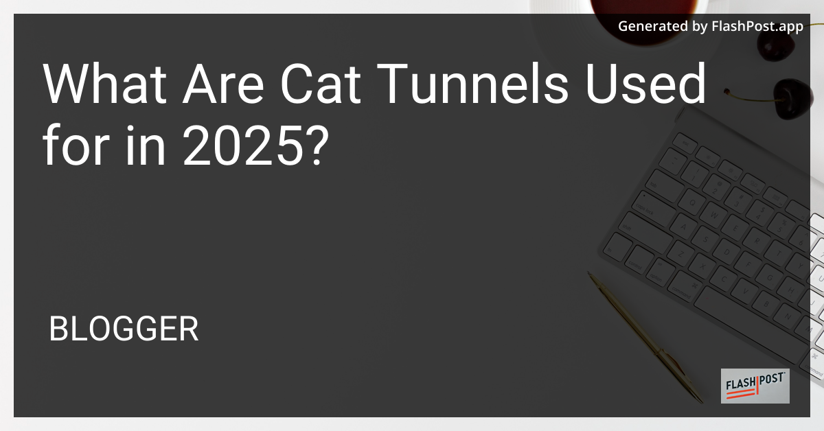 Cat Tunnel
