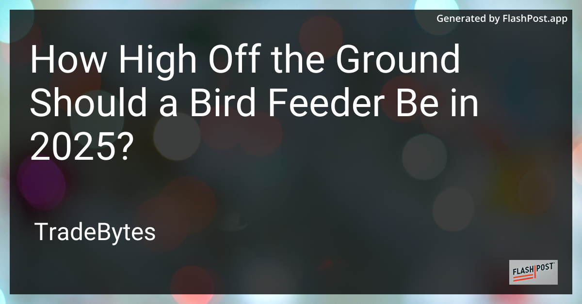 Bird Feeder