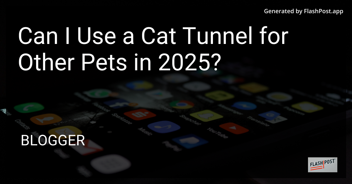 Pets and Cat Tunnel