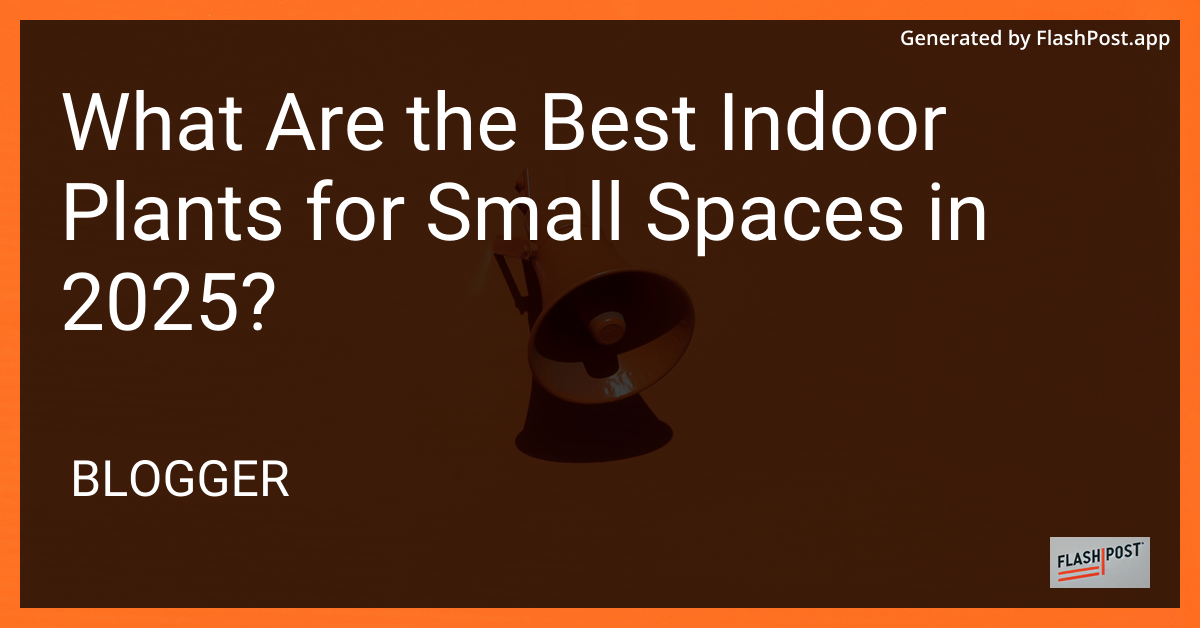 Best Indoor Plants