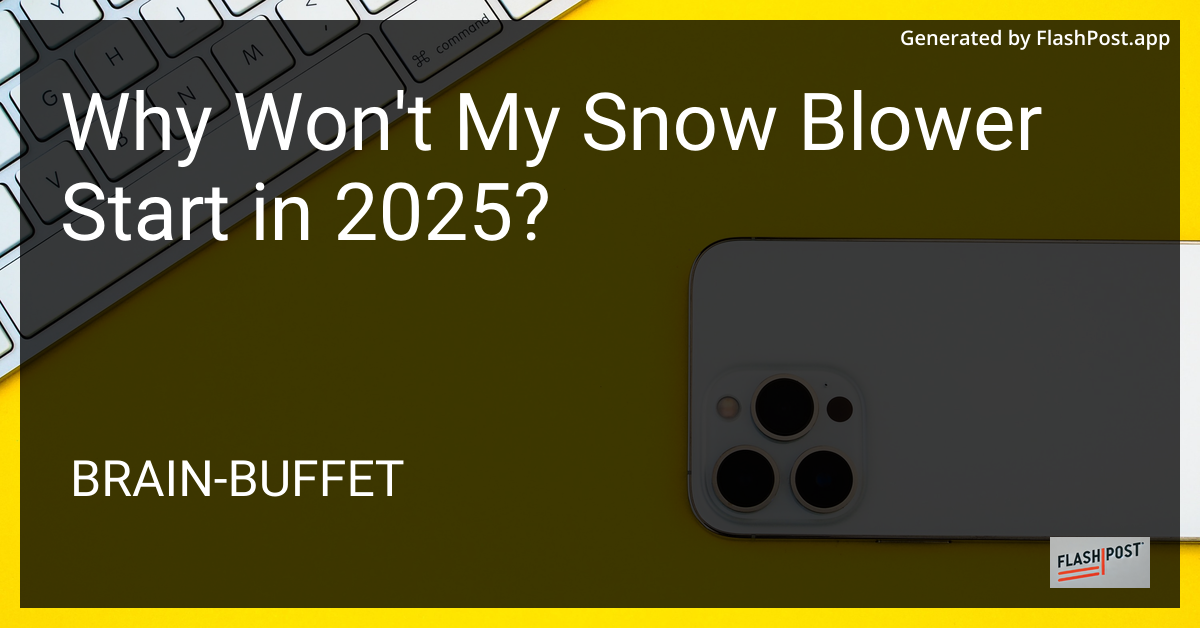 Snow Blower Troubles